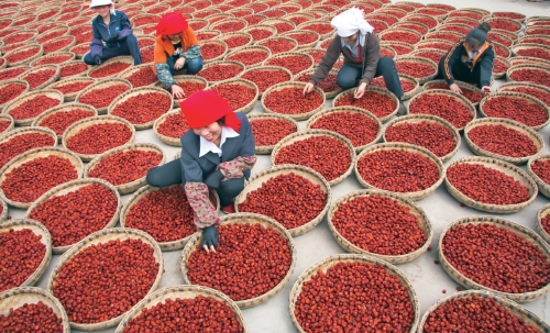 山丹富硒产品（富硒山丹产品特点）-硒宝网