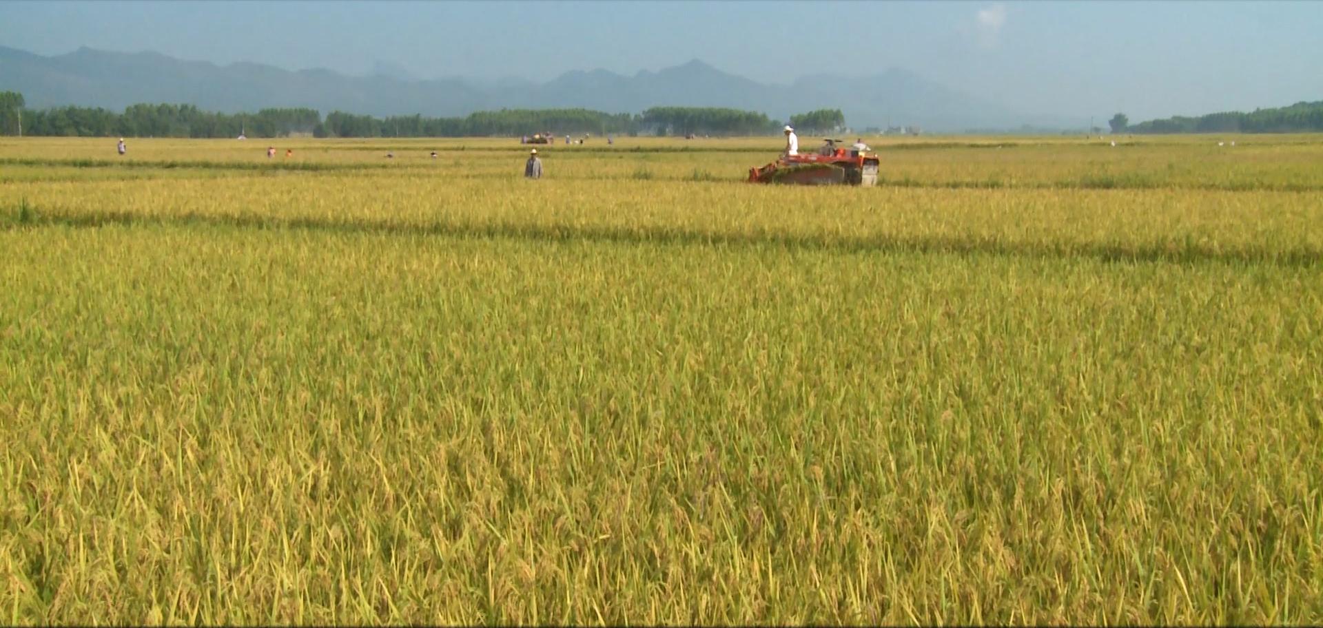 开发富硒产品（开发富硒产品的目的）-硒宝网