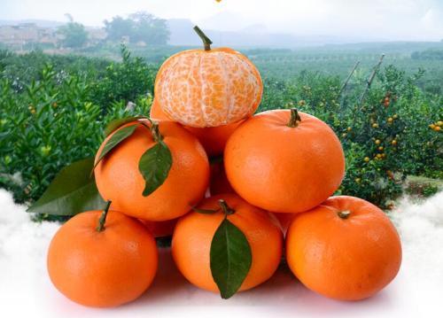 武鸣富硒产品（富硒产品武鸣有卖吗）-硒宝网