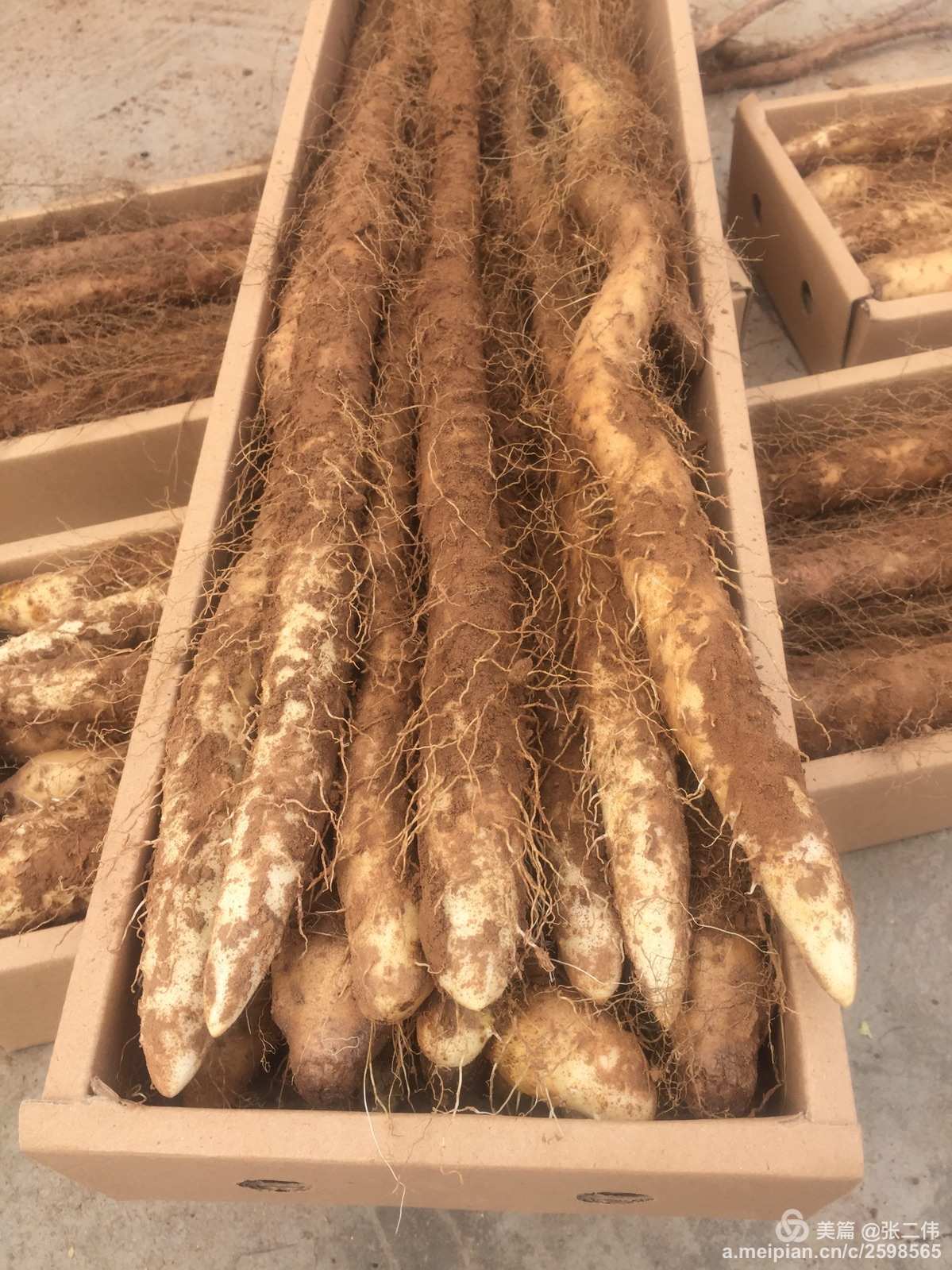 富硒产品要求（富硒要求产品有哪些）-硒宝网