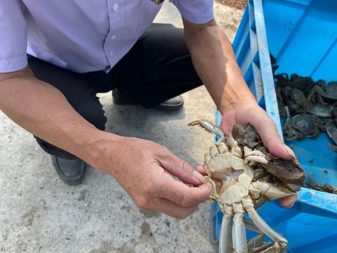 富硒产品起名(起名富硒产品好不好)-硒宝网