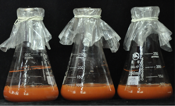 国家富硒产品（富硒的国家）-硒宝网