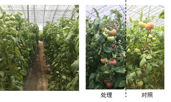 国家富硒产品（富硒的国家）-硒宝网