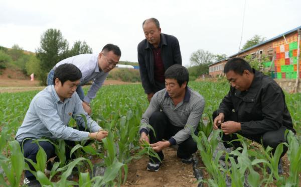 富硒蘑菇产品（富硒蘑菇片）-硒宝网