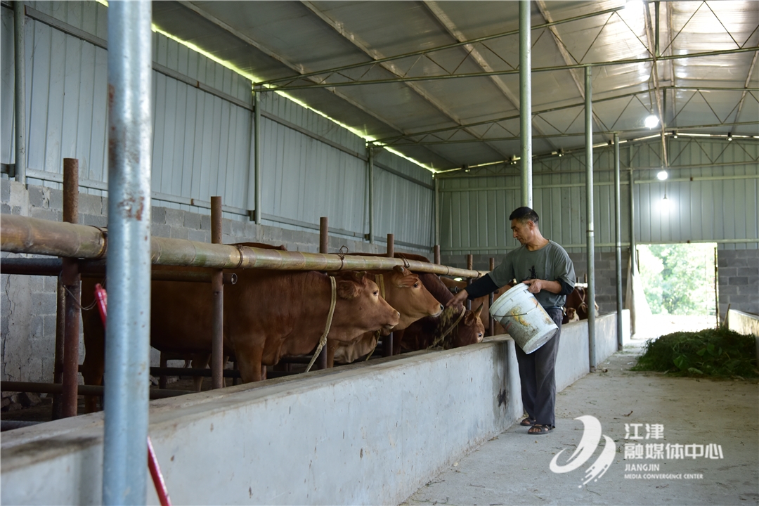 富硒农产品节（富硒农产品是什么意思）-硒宝网