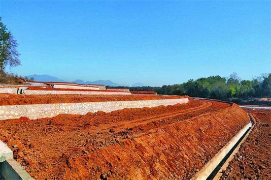 富硒产品有啥(富硒产品有用吗)-硒宝网