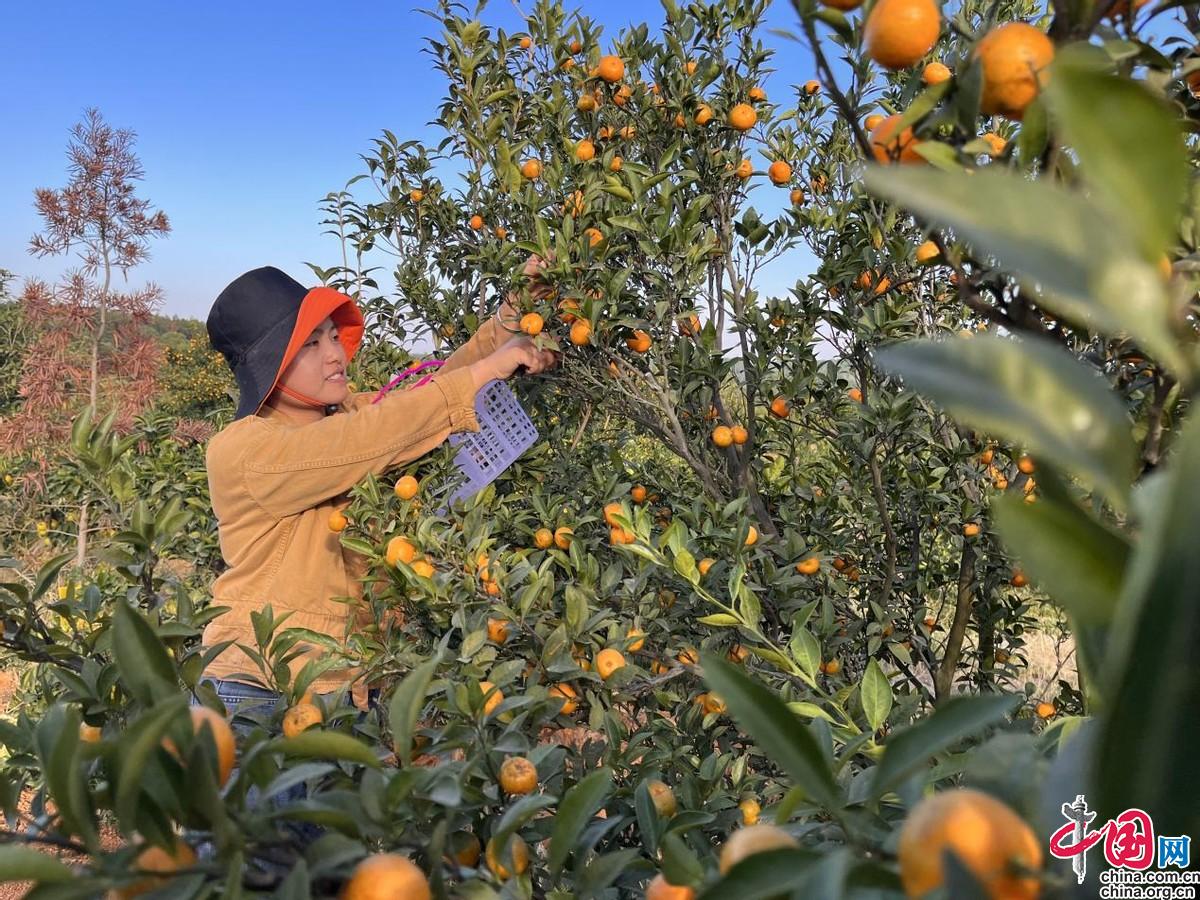 万安富硒产品(万安富硒米)-硒宝网