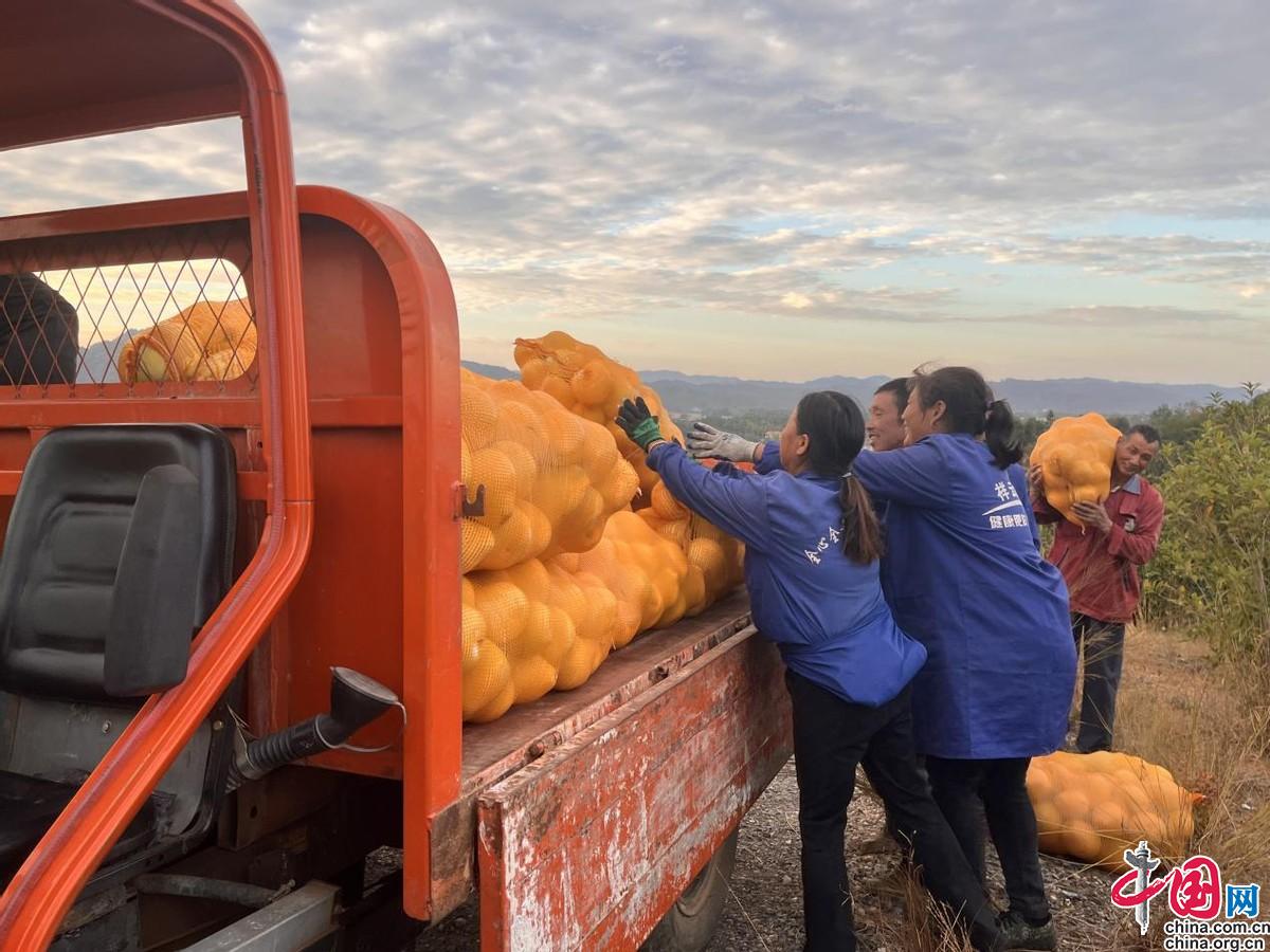 万安富硒产品(万安富硒米)-硒宝网