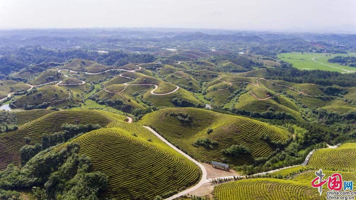 万安富硒产品(万安富硒米)-硒宝网