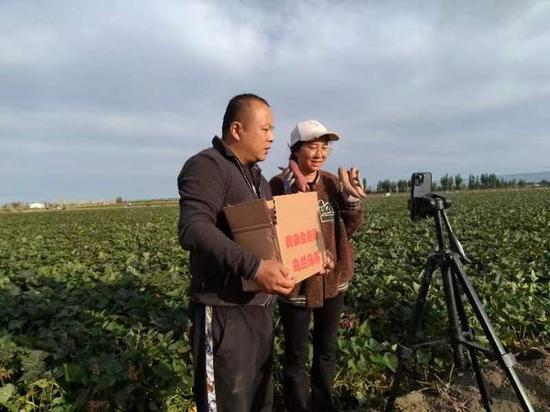 富硒农产品节（农用富硒）-硒宝网