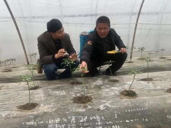 富硒富砤产品（富硒产品）-硒宝网