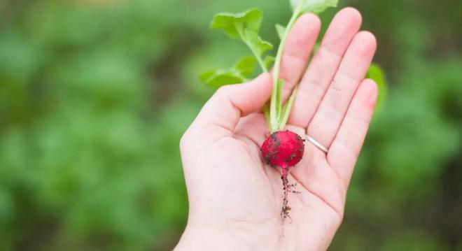国外富硒产品（美国富硒产品哪个好）-硒宝网
