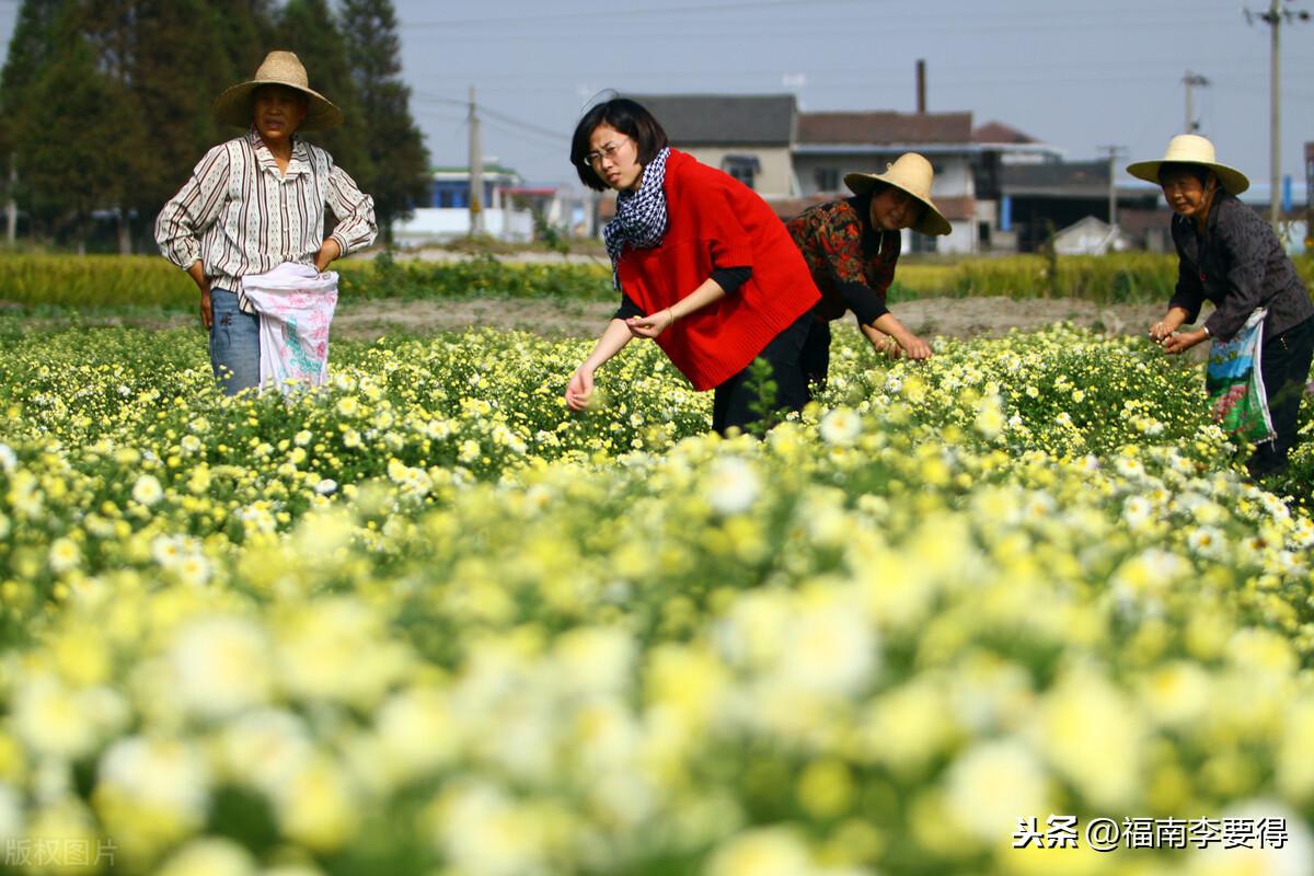 生态富硒产品（生态富硒产品博览交易会）-硒宝网