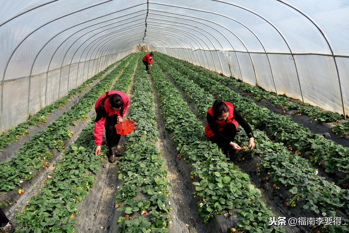 生态富硒产品（生态富硒产品博览交易会）-硒宝网