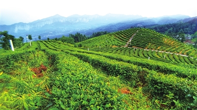 国外富硒产品(国外富硒产品排行榜)-硒宝网