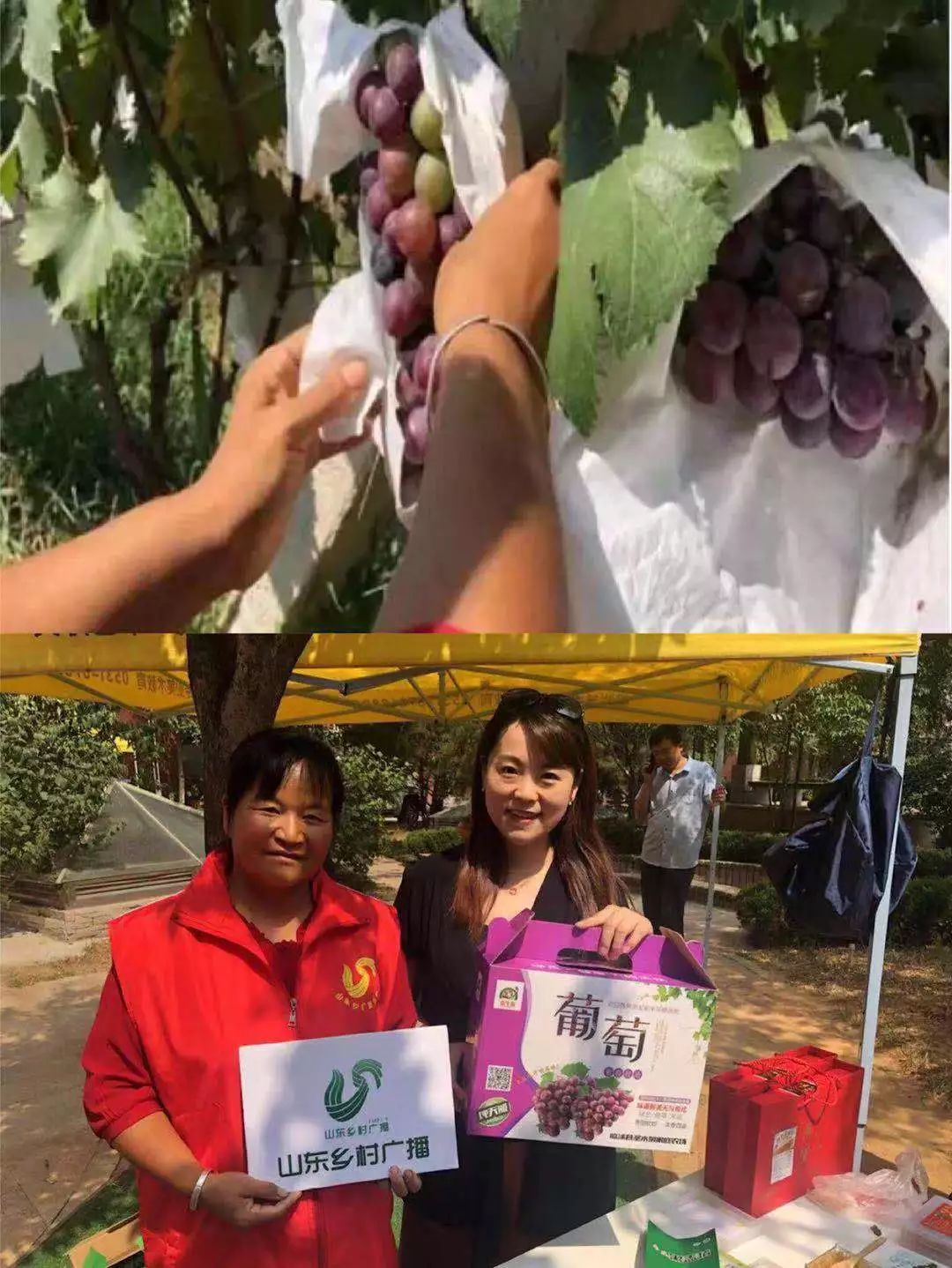 临沂富硒产品（临沂富硒产品批发市?。?硒宝网