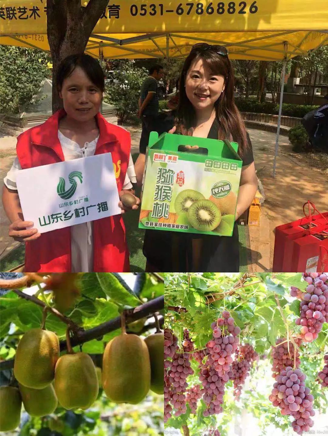 临沂富硒产品（临沂富硒产品批发市?。?硒宝网