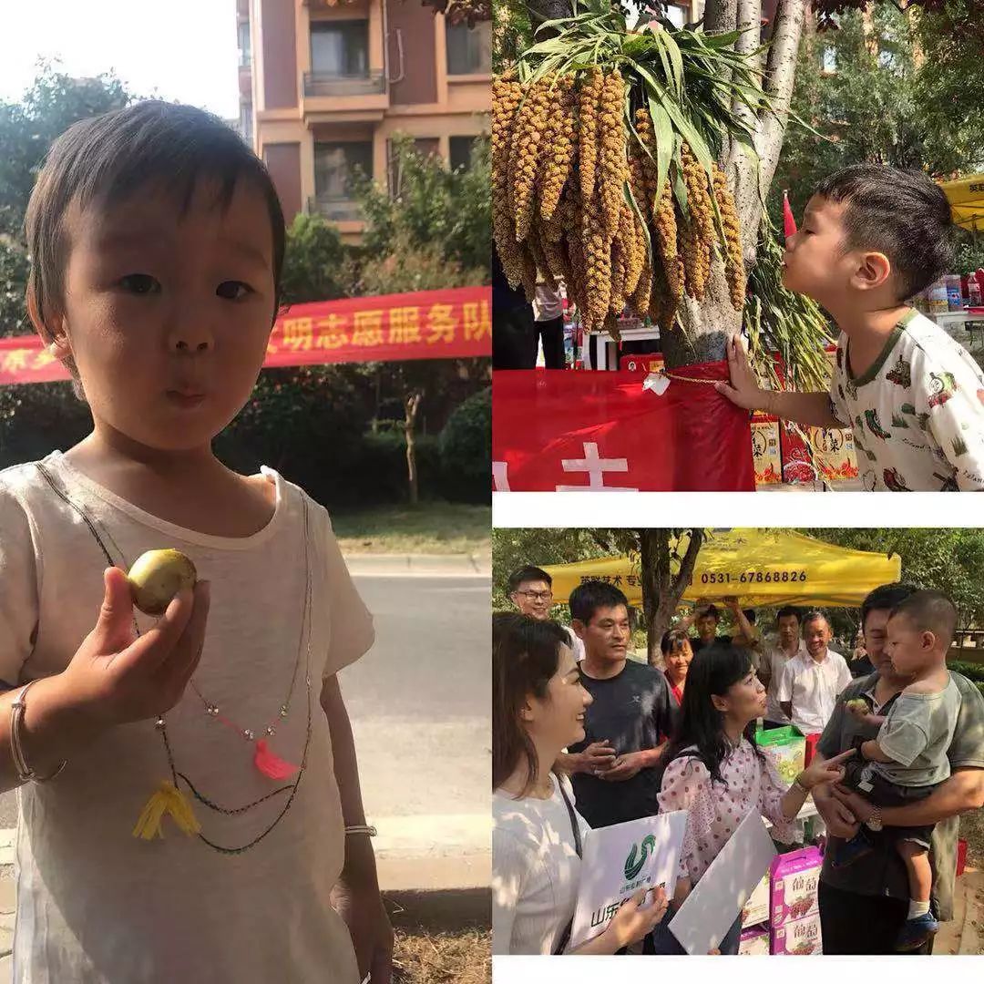 临沂富硒产品（临沂富硒产品批发市?。?硒宝网