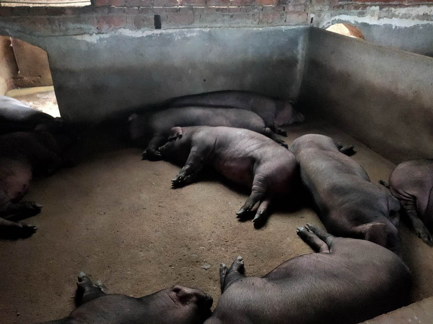 富硒富砤产品(富硒产品是骗局吗)-硒宝网