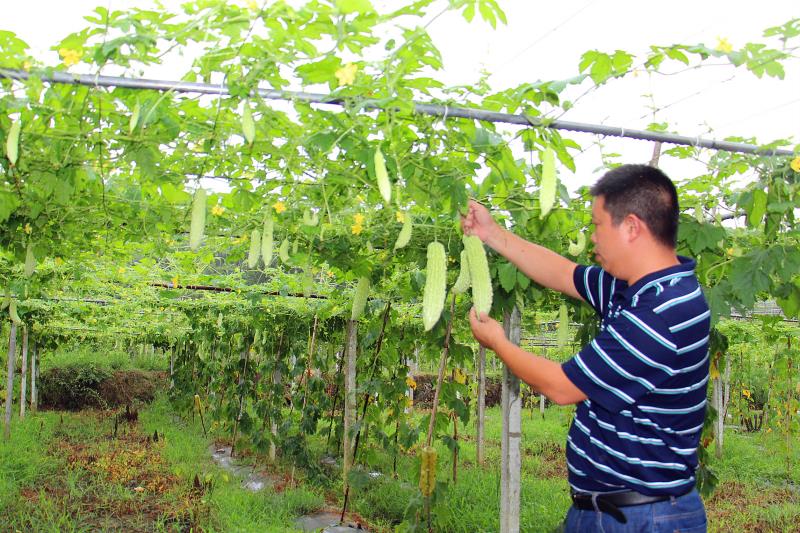 富硒富砤产品(富硒产品是骗局吗)-硒宝网