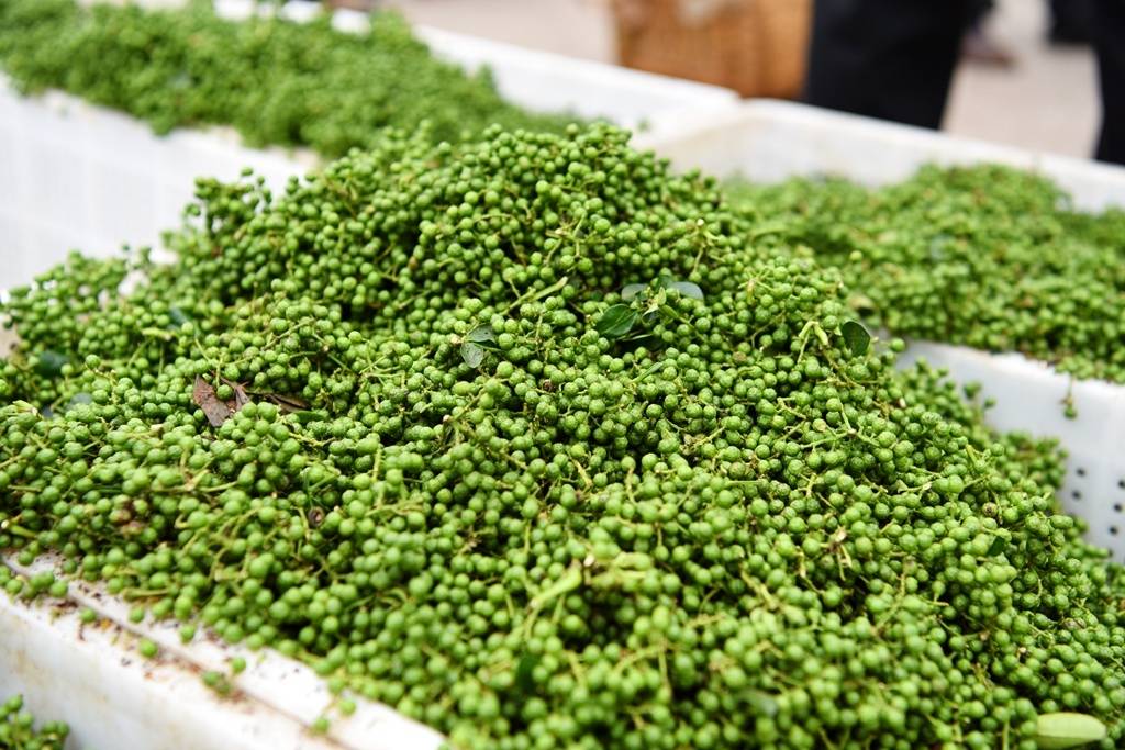 富硒产品查处（富硒产品的调查和分析）-硒宝网