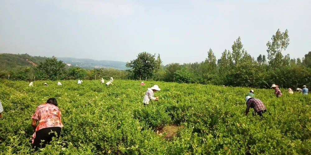 富硒产品查处（富硒产品的调查和分析）-硒宝网