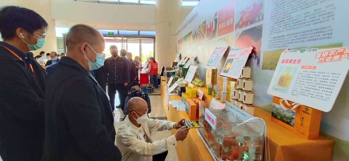 富硒产品宣传(富硒产业广告语揭晓)-硒宝网