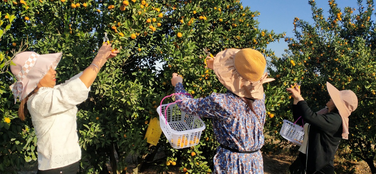 富硒产品宣传(富硒产业广告语揭晓)-硒宝网