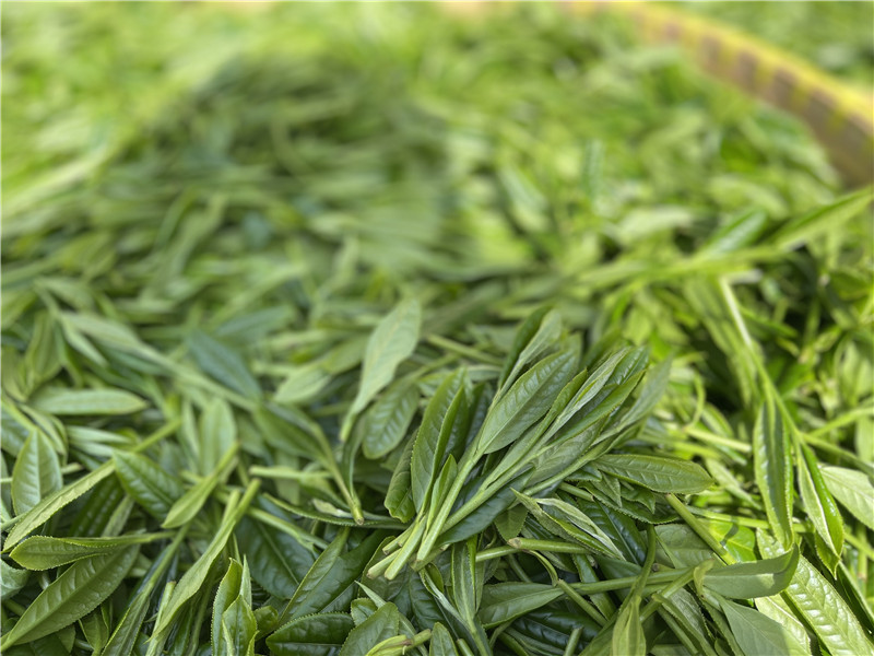 富硒产品黄山(黄山富硒产品介绍)-硒宝网