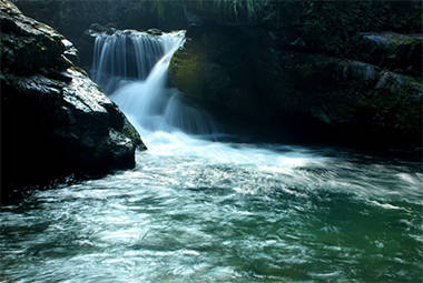 富硒产品黄山（黄山富硒乡）-硒宝网