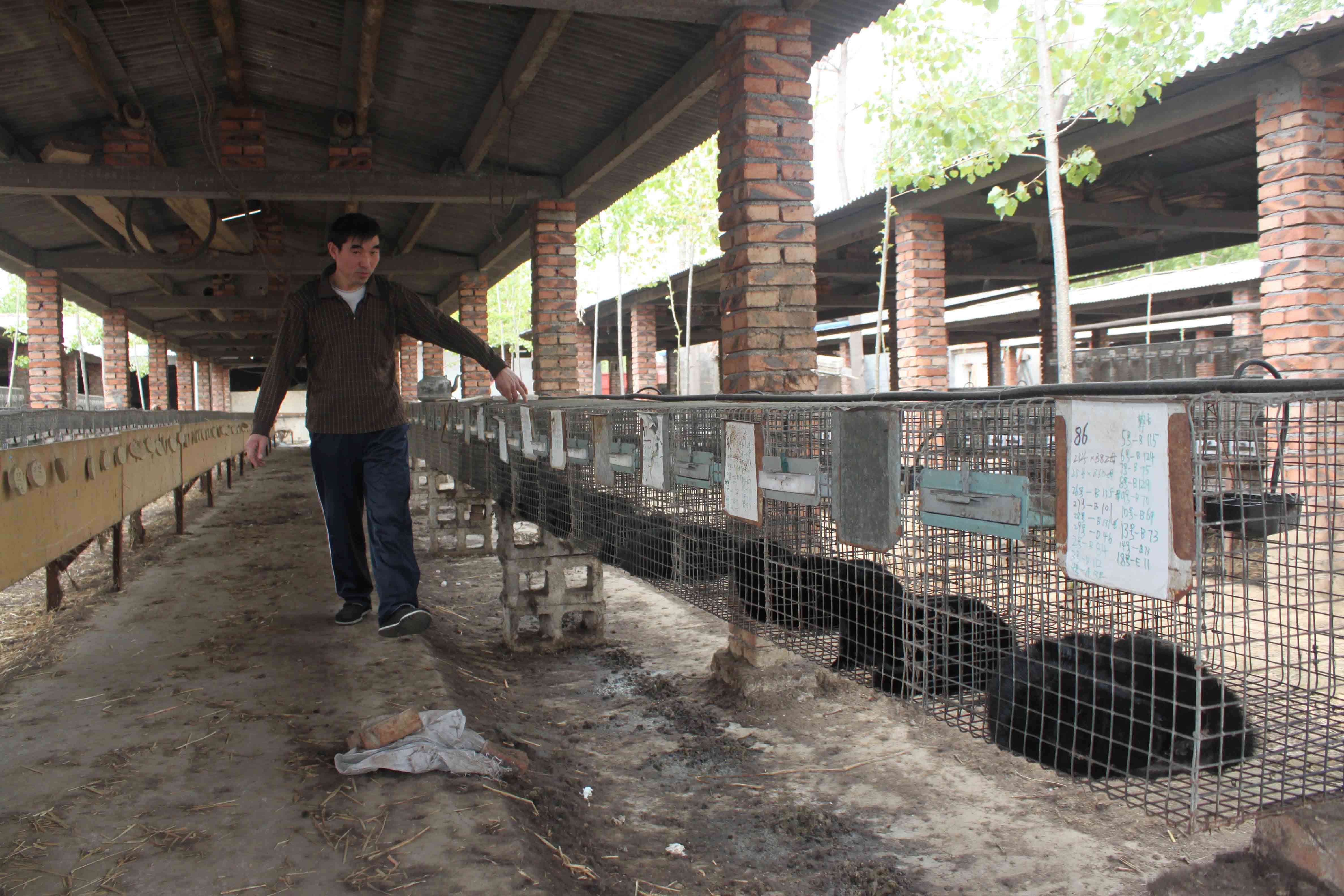 青州富硒产品(青州富硒水报道)-硒宝网