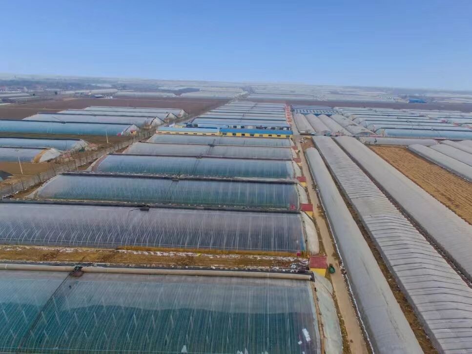 青州富硒产品(青州富硒水报道)-硒宝网