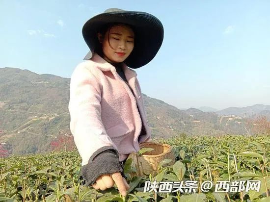 富硒产品直播（直播富硒产品是真的吗）-硒宝网