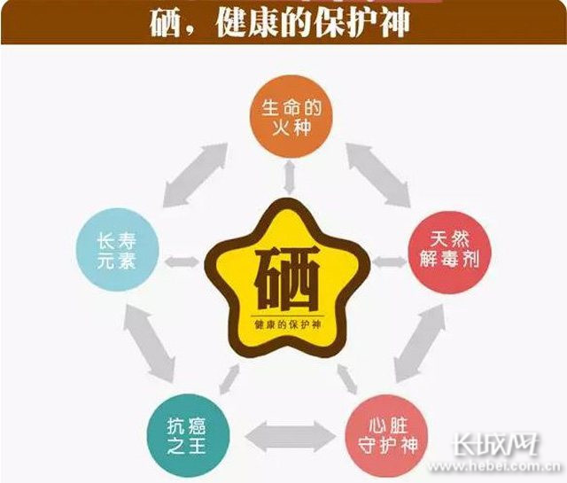 富硒产品认知(认知富硒产品的优势)-硒宝网