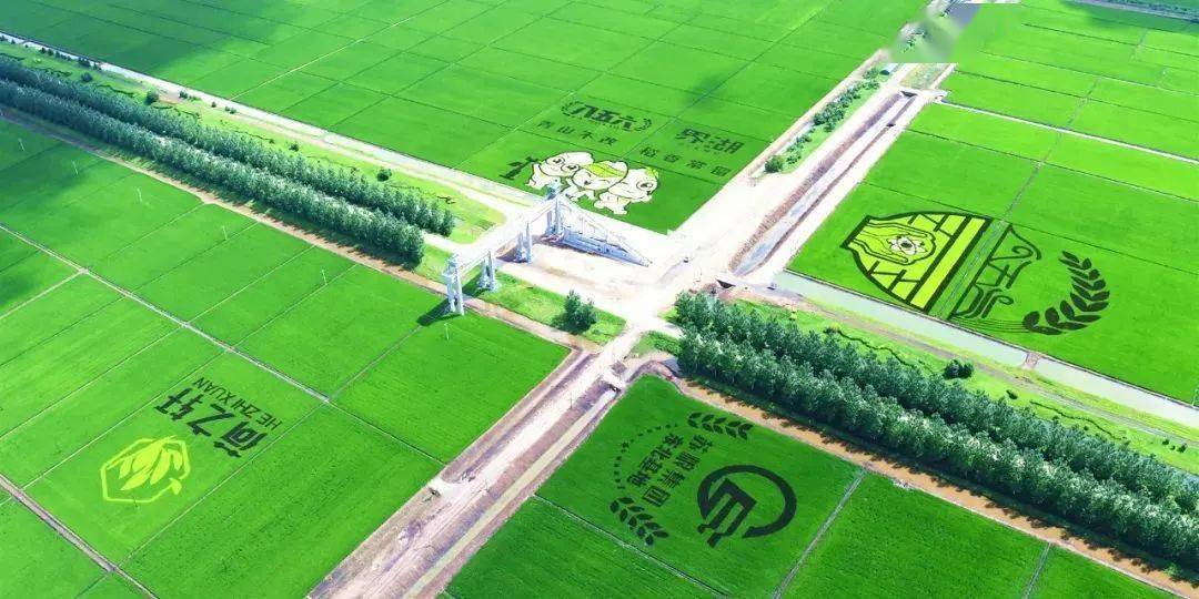 邢台富硒产品（河北富硒带）-硒宝网