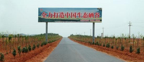 生态富硒产品(生态富硒产品是什么)-硒宝网