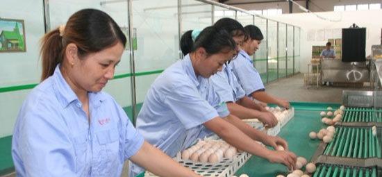 生态富硒产品(生态富硒产品是什么)-硒宝网