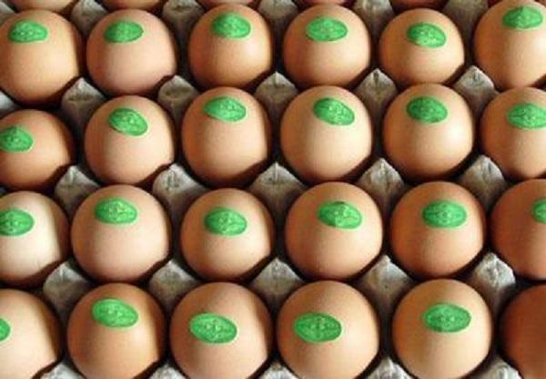 富硒鸡蛋产品（鸡蛋富硒产品图片）-硒宝网