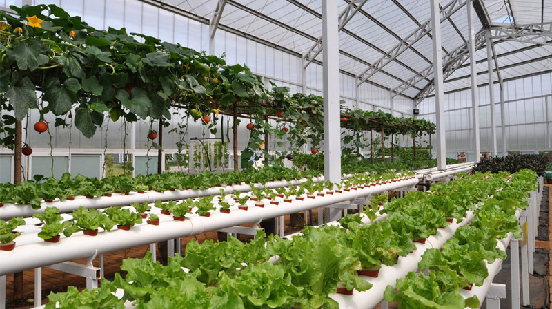 邢台富硒产品(富硒厂家电话)-硒宝网