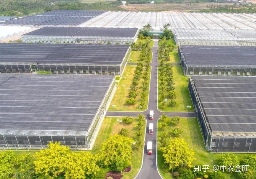 邢台富硒产品(富硒厂家电话)-硒宝网