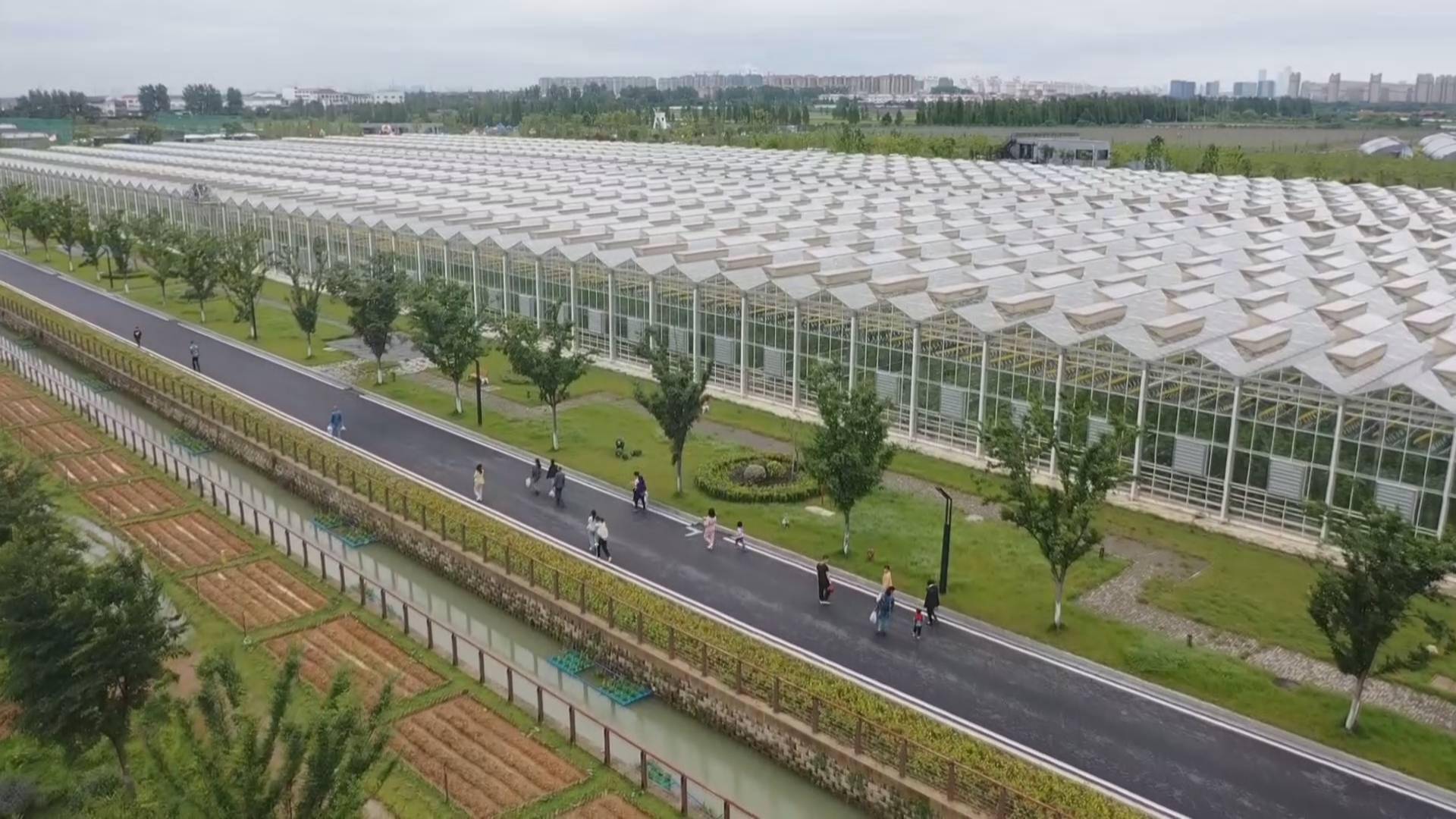 邢台富硒产品(富硒厂家电话)-硒宝网