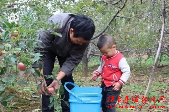 富硒农产品节(富硒农产品销售平台)-硒宝网