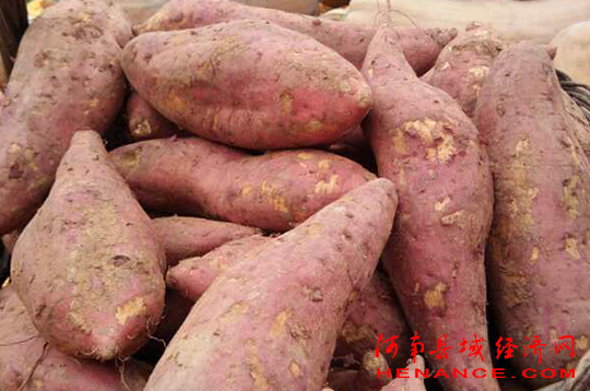 富硒农产品节(富硒农产品销售平台)-硒宝网