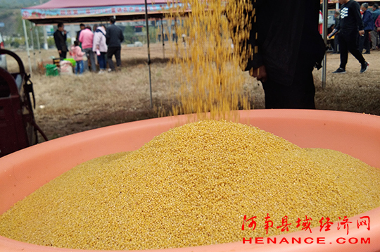 富硒农产品节(富硒农产品销售平台)-硒宝网