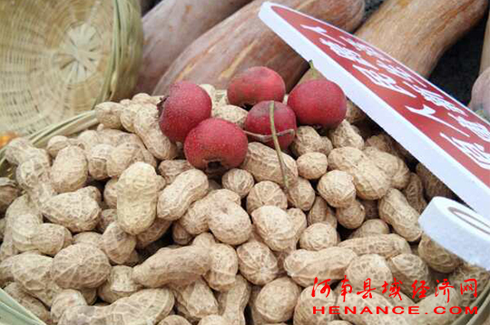 富硒农产品节(富硒农产品销售平台)-硒宝网