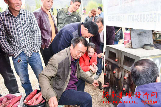 富硒农产品节(富硒农产品销售平台)-硒宝网