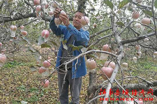 富硒农产品节(富硒农产品销售平台)-硒宝网
