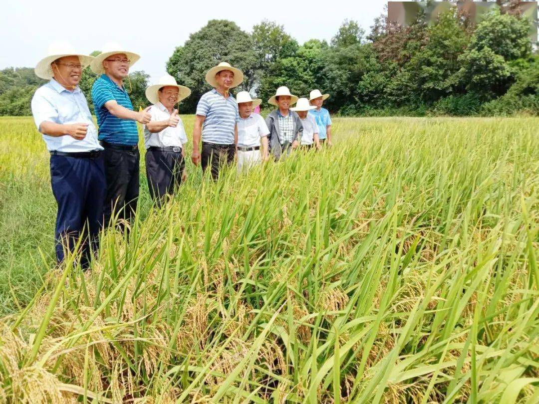 经营富硒产品(经营富硒产品有哪些)-硒宝网