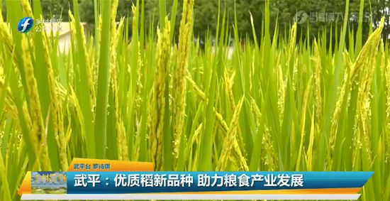 经营富硒产品(经营富硒产品有哪些)-硒宝网