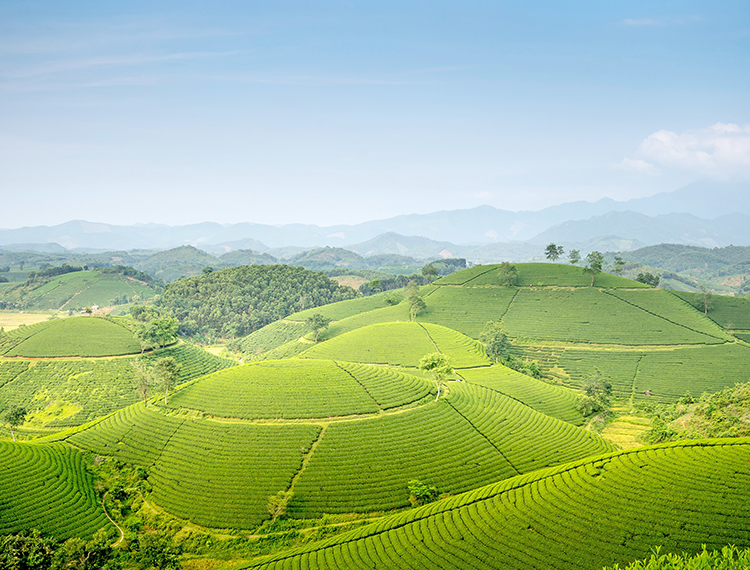 天津富硒产品（天津富硒产品有哪些）-硒宝网